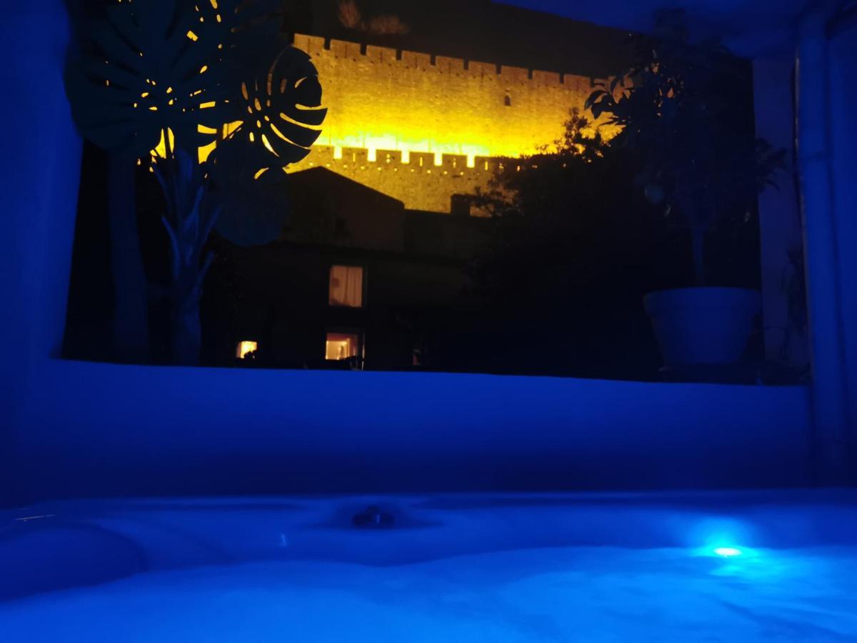 Сasa de vacaciones Maison De 1692 Et Son Jacuzzi Et Sa Dépendance, Avec Vue Exceptionnelle Sur La Cité Médiévale De Carcasona